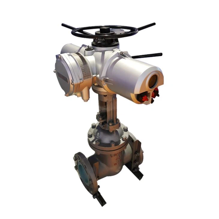 Automatic Gate Valve