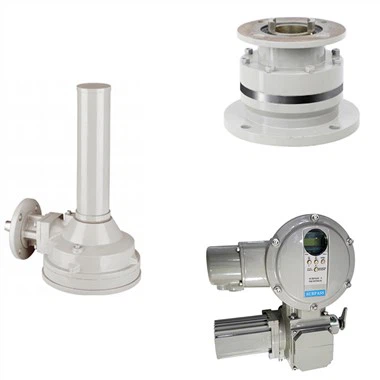 Didelio sukimo momento mažinimo pavarų dėžė plius kelių apsisukimų elektrinė pavara